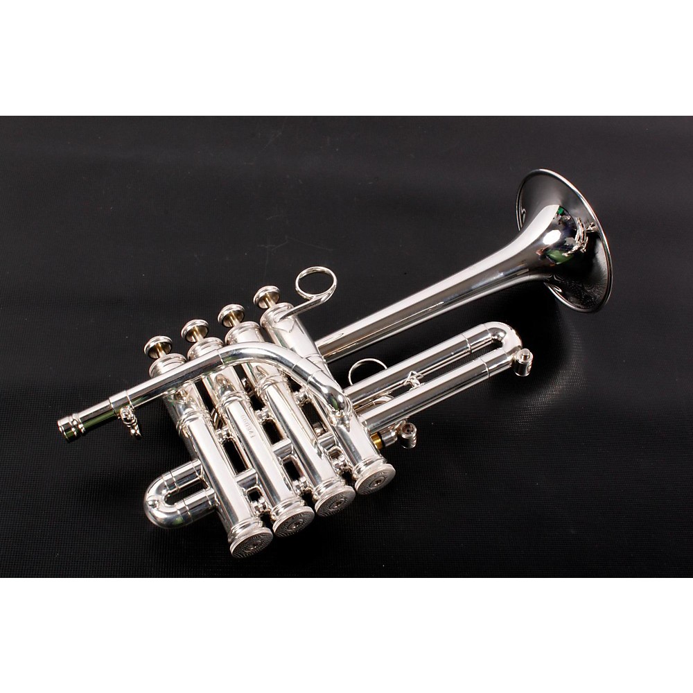UPC 888365296531 product image for Getzen 3916 Custom Series Bb/A Piccolo Trumpet 3916S Silver 888365296531 | upcitemdb.com