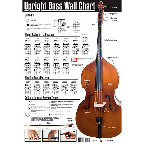 Upright Bass Chart