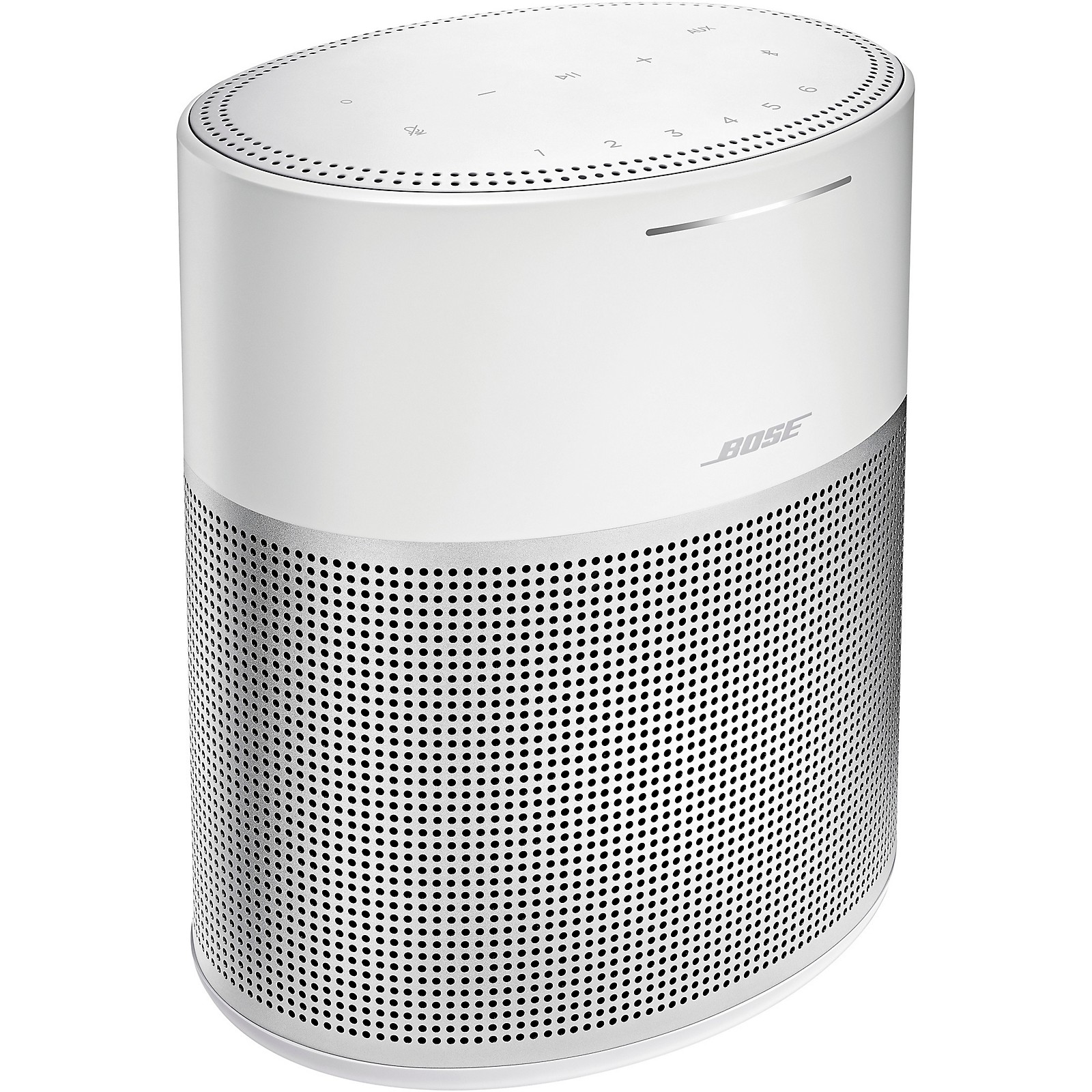 bose 300 home