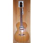 Used Wechter Guitars Nv5413 Acoustic Guitar thumbnail