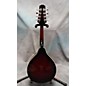 Used New York Pro Ny-m5 Dark Cherry Burst Mandolin