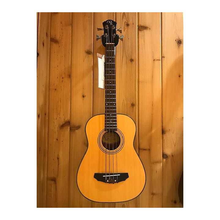 washburn f8 acoustic guitar