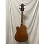 Used Gold Tone M-BASS Acoustic Bass Guitar