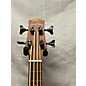 Used Gold Tone M-BASS Acoustic Bass Guitar