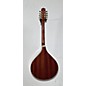 Used Gold Tone OM800 Mandolin