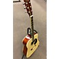 Used Ventura ACOUSTIC Acoustic Guitar