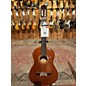 Vintage Vintage 1980s Valeriano Bernal Cedar Top Flamenco Natural Classical Acoustic Guitar thumbnail