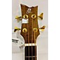 Used Ortega Striped Suite ACB Left-Handed Acoustic Bass Guitar