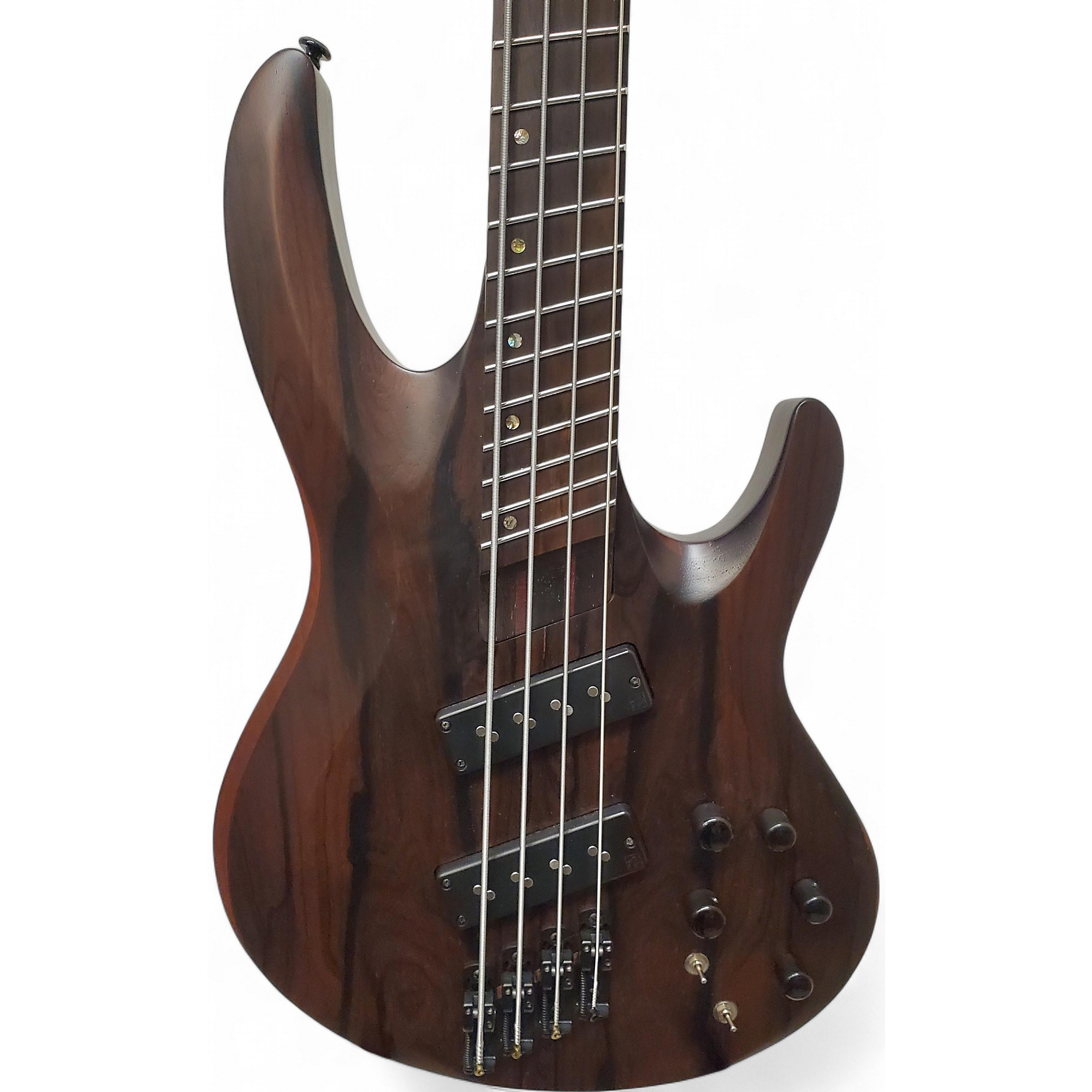 ESP LTD B-1004MS 　Special Edition　エレキベース B-1004 - The ESP Guitar Company