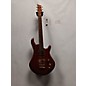 Used Used American Exotic Guitars Dennis Brown Signature Natural Solid Body Electric Guitar thumbnail