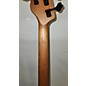 Used Used Schecter Guitar Research Model T 5 Exotic Black Limba Black Limba Electric Bass Guitar