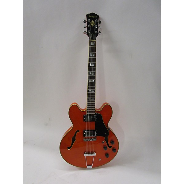 Douglas hollow on sale body guitar