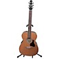 Used Seagull Coastline CH Momentum HG Acoustic Electric Guitar thumbnail