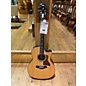 Used Taylor 2019 814CE/Sitka Spruce & East Indian Rosewood Acoustic Electric Guitar thumbnail