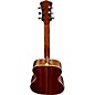 Used Luna ART V FOLK Acoustic Guitar