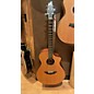Used Breedlove Passport C250/CME Acoustic Electric Guitar thumbnail