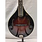 Used Weber Absaroka Mandolin