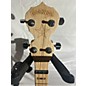 Used Deering Goodtime Acoustic-Electric Banjo Banjo