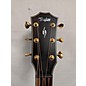 Used Taylor Builder's Edition 816ce Acoustic Guitar