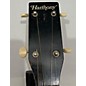 Vintage Harmony 1970s H-4101 Acoustic Guitar