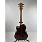 Used Taylor 914ce Fall Limited Cocobolo Acoustic Electric Guitar