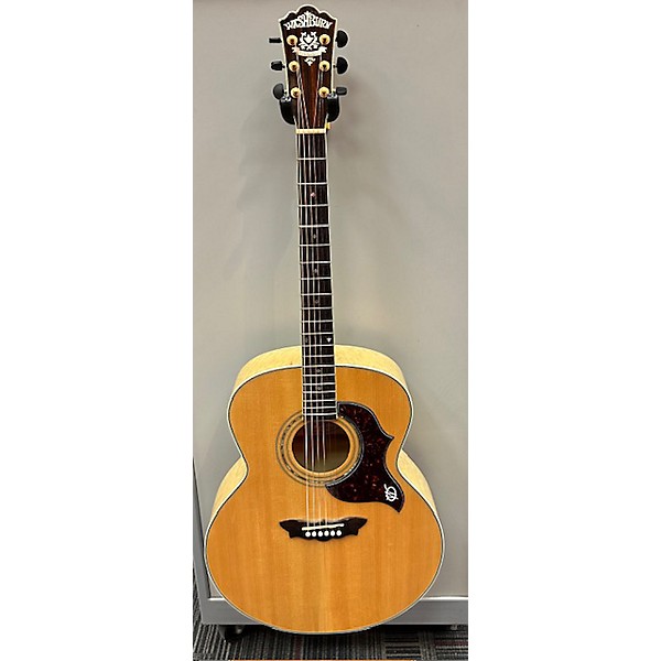 Washburn cumberland deals acoustic guitar