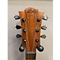 Used Lag Guitars T80ace Acoustic Electric Guitar
