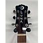 Used Luna GYPSY ZEBRA GRAND CONCERT Acoustic Electric Guitar