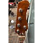 Used Sire Marcus Miller V10 SWAMP ASH Electric Bass Guitar