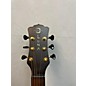 Used Luna Artist Series Recorder Acoustic Guitar