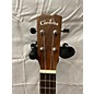 Used Cordoba 28c Ukulele