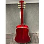 Used SIGMA Sdm-sg5-Limited Acoustic Guitar