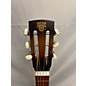 Used Dobro D60 Acoustic Guitar