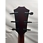 Used Taylor 2019 324CE Limited V Class Acoustic Electric Guitar