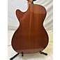 Used Fender Cb 60 Acoustic Bass Guitar