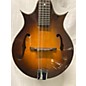 Used Aria 70'S M300BS MANDOLIN Mandolin