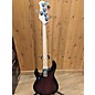 Used Sterling by Music Man 2010s Stingray Ray5 Electric Bass Guitar