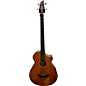 Used Breedlove Solo Bass Acoustic Bass Guitar thumbnail