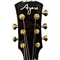 Used Ayers SJ07E-CX Acoustic Electric Guitar