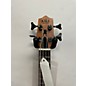 Used Kala Ubass Bass Ukulele