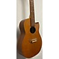 Vintage Earthwood Vintage 1970s Earthwood Mini Acoustic Natural Acoustic Guitar