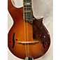 Used Harmony H425 Mandolin