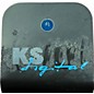 Used KS Digital ADM20's Pair Powered Monitor