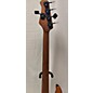 Used Sterling by Music Man Ray35 5 String Electric Bass Guitar