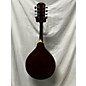 Used Goya GM23 Mandolin