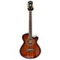 Used Washburn EA55G-A-U Acoustic Electric Guitar thumbnail