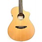 Used Breedlove Passport C250/CME Acoustic Electric Guitar