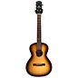 Used Alvarez DeltaDeLite Acoustic Electric Guitar thumbnail