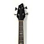 Used Breedlove BLACK MAGIC BASS Acoustic Bass Guitar