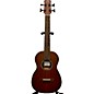 Used Cordoba MINI II BASS MHE Acoustic Bass Guitar thumbnail